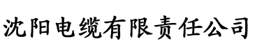 香蕉视频成人污污电缆厂logo